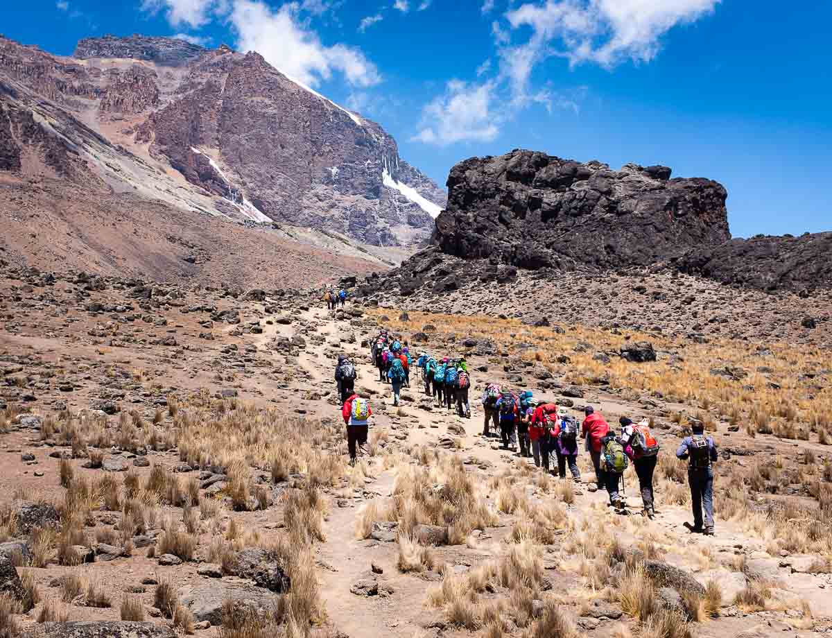 Kilimanjaro Lava Tower: Lemosho Route Day 4