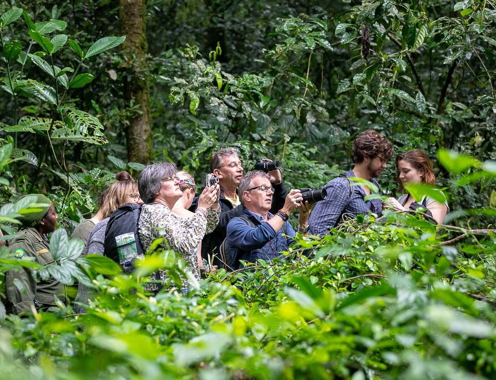 Best Camera For Blogging - By Travel Bloggers