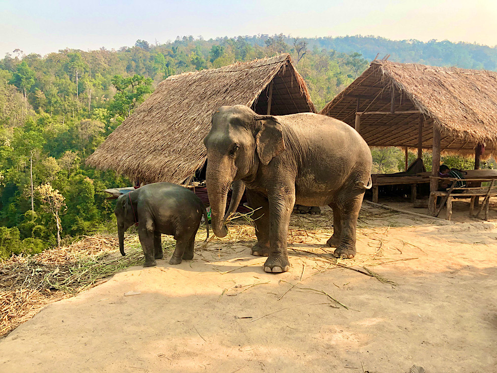 Visit Chiang Mai for activities and excursions