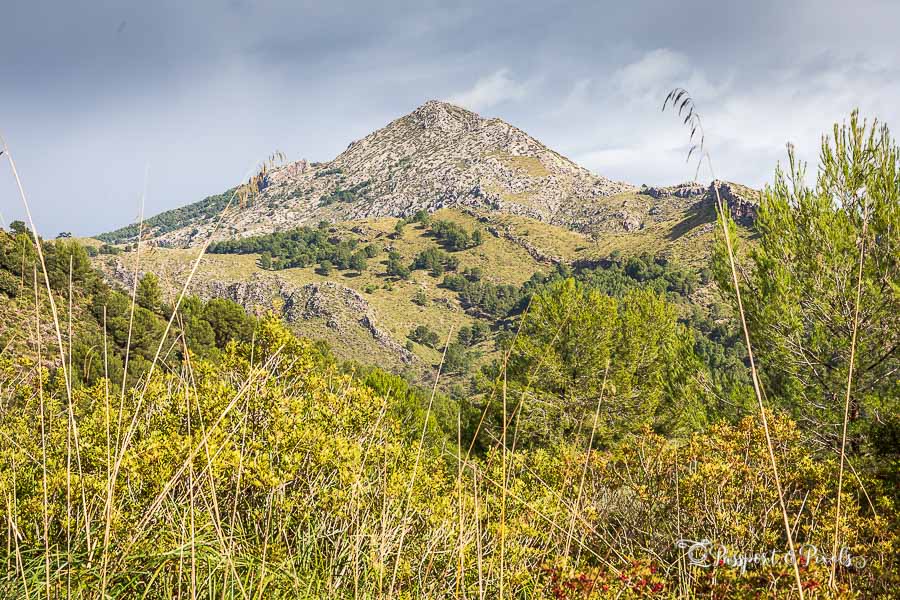 The Serra de Tramuntana mountains in Mallorca are full of beautiful scenery