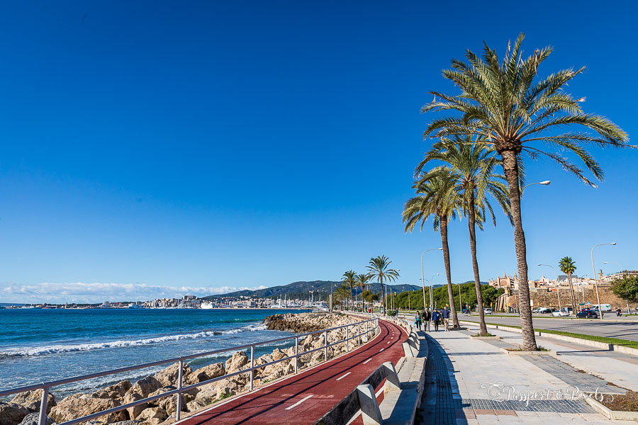 Palma's Paseo Maritimo is perfectly set up for pedestrians and cyclists with segregated walking and cycle lanes overlooking the sea