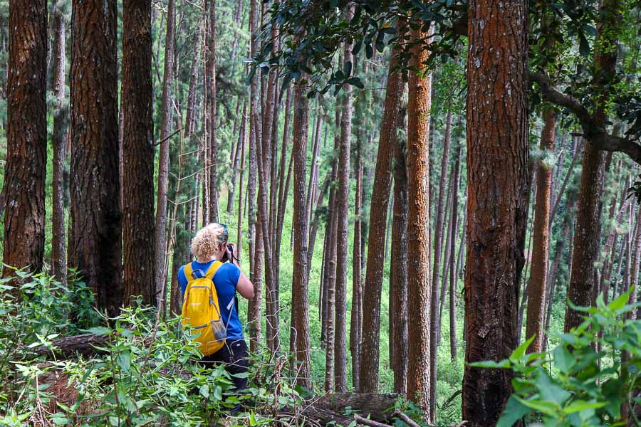 Hiking In The Beautiful Knuckles Mountain Range, Sri Lanka