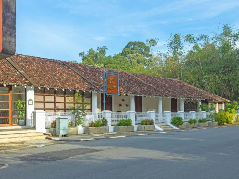Hiking In The Beautiful Knuckles Mountain Range, Sri Lanka