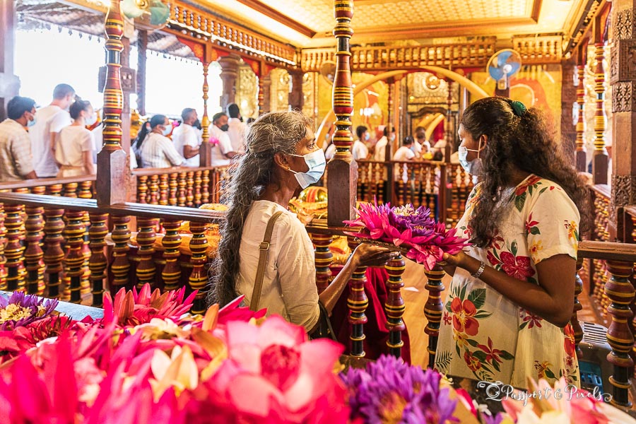 Worshippers queueing to see the relic at the Temple of the Sacred Tooth in Kandy Sri Lanka