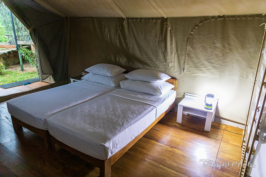 Inside my glamping sfari tent in the Knuckles Sri Lanka