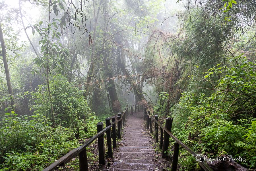 Misty weather during a hike to Laguna Chicabal in Guatemala