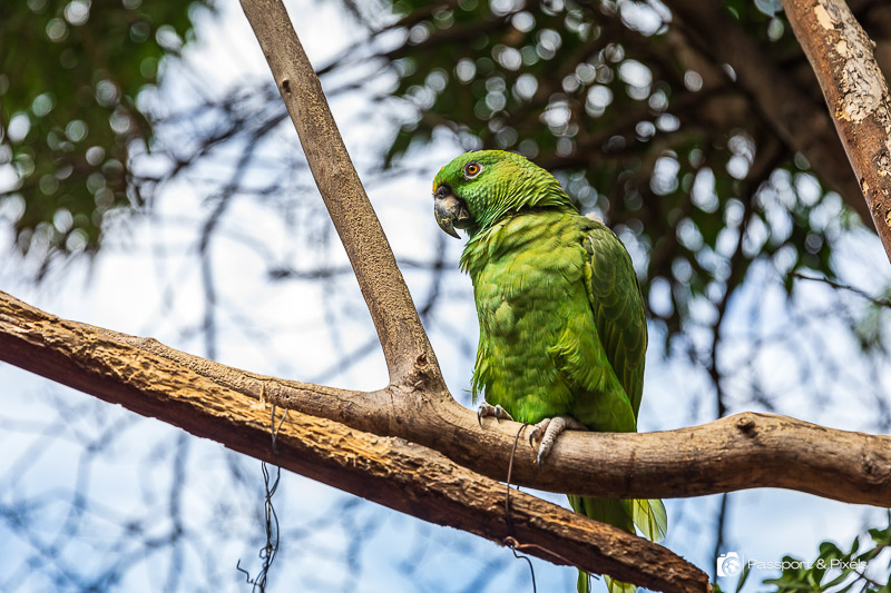 Highlights Of Guatemala Itinerary In 10 Days, 2 Weeks Or 3 Weeks