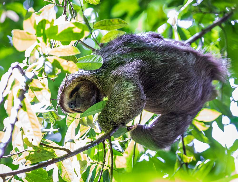 A Review Of G Adventures' Costa Rica 16-Day Tour