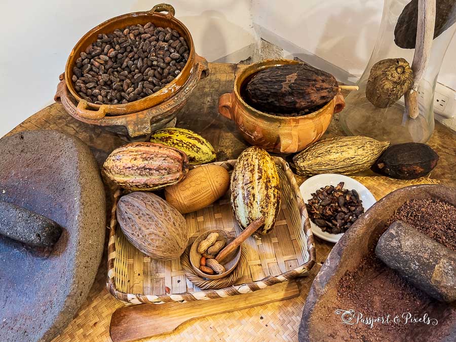 Chocolate is made from the cacao bean, which was highly prized by the Maya