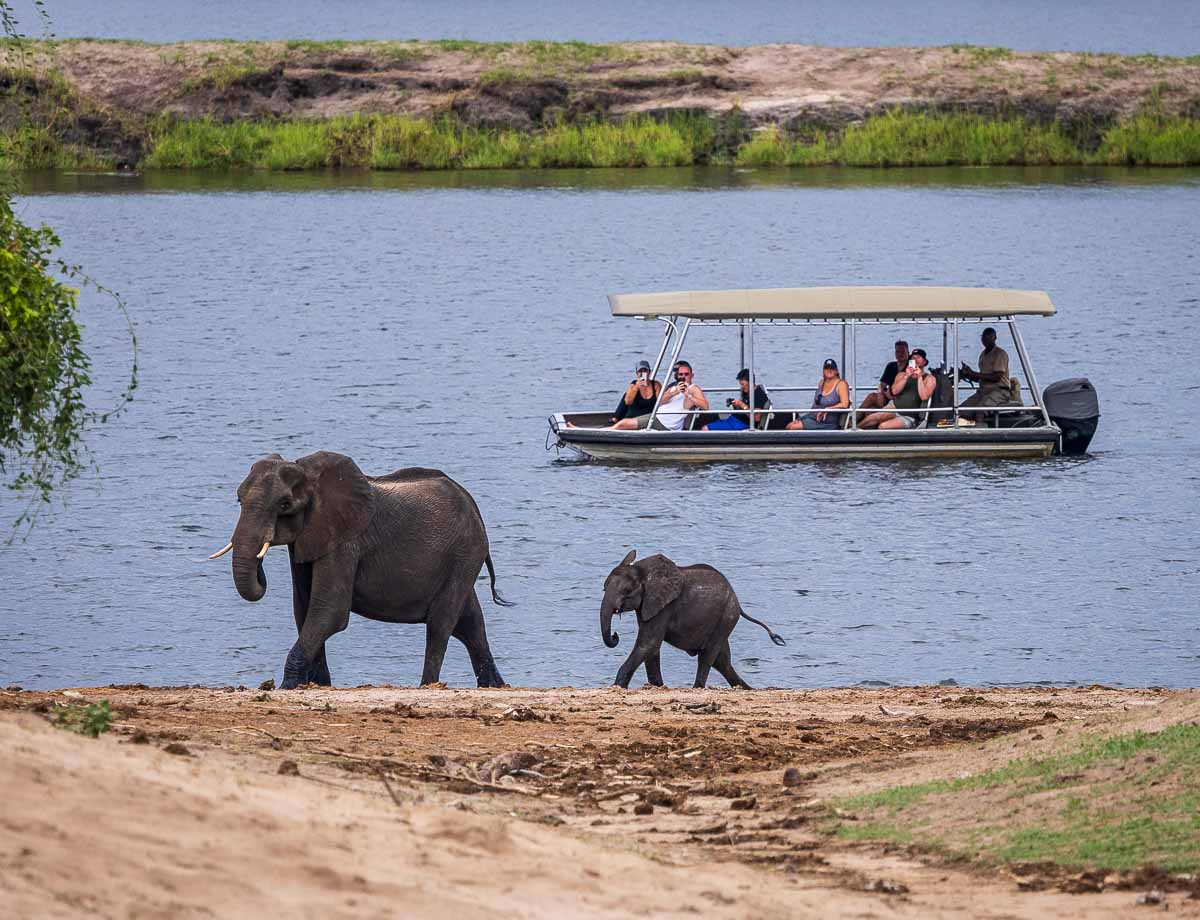 A boat ride on the Chobe River at Chobe Safari Lodge