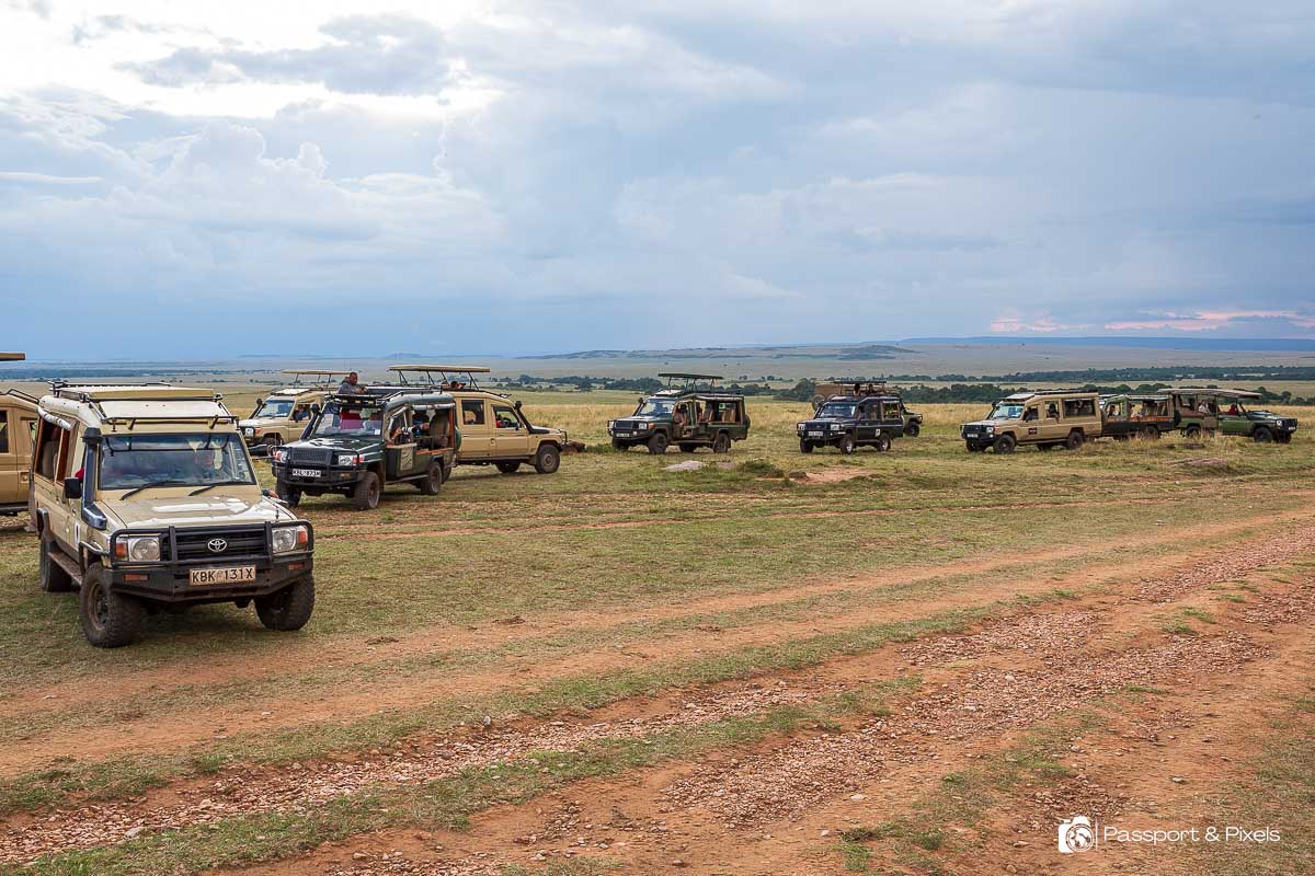 A row of 11 cars in the Maasai Mara Kenya