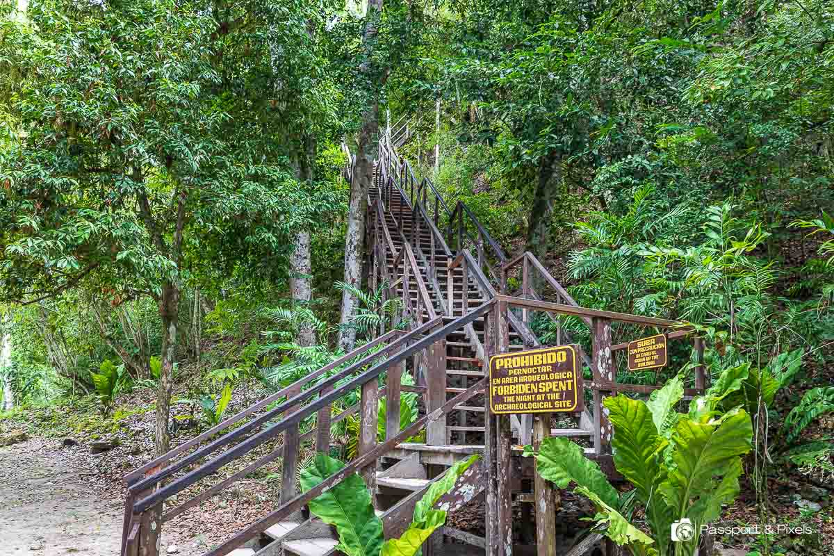 A wooden staircase leads up to the top of Temple IV at Tikal Guatemala