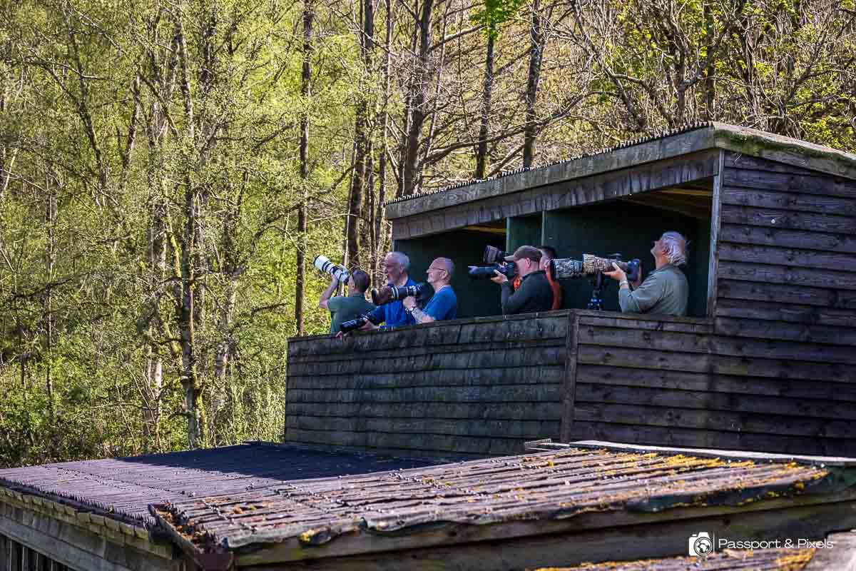 One of the hides at Gigrin Farm - and lots of photographers!
