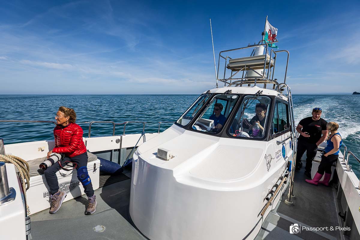 On our small wildlife watching boat in Cardigan Bay, Wales